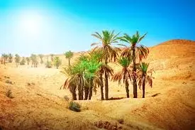 Arabisch Sprachkurs online